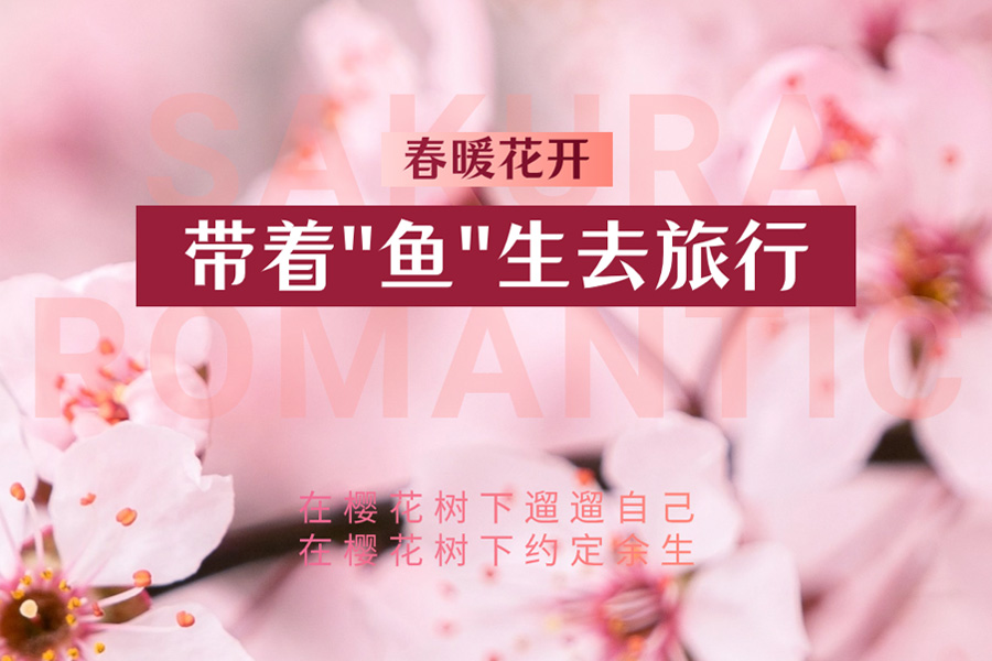 春暖花开，带着你的“鱼”生去旅行